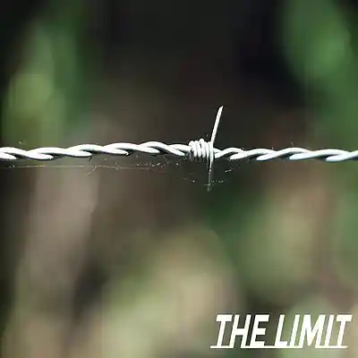 Picture for song 'The Limit' by artist 'Sean Ferree'