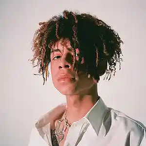 Picture for song '$NOT X Iann Dior Type Beat' by artist 'Sivnull'
