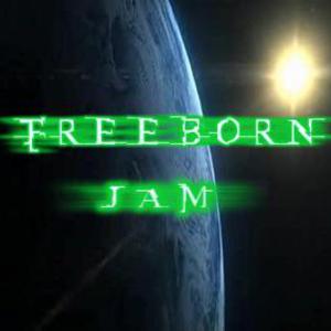 Picture for song 'Freeborn Jam' by artist 'Swampman And The Machine'