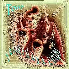 Picture for song 'FEAR' by artist 'tonyfarr'