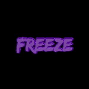 Picture for song 'Freeze [BUY 1 GET 1 FREE]' by artist 'ThatsMaddison'