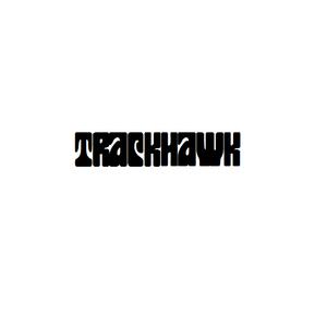 Picture for song 'Ant Miner' by artist 'TrackHawkTracks'