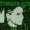Picture for song 'Timber Eye' by artist 'Valgar'