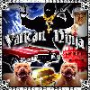 Picture for song 'Le Patries Mon Gar!' by artist 'Vatican Ninja'