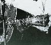 Picture for song 'Stingin' the Bluze' by artist 'Vesa'