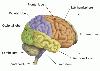 Picture for song 'Brain Washed' by artist 'VitalSigns Productions'
