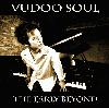Picture for song 'Snowflake' by artist 'Vudoo Soul'