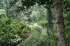 Picture for song 'WaCkY ft. Jem - Mysterious Path' by artist 'WaCkY'