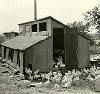 Picture for song 'Chicken' by artist 'Warren Main'