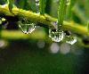 Picture for song 'Rain' by artist 'Warren Main'
