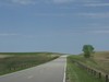 Picture for song 'White Lines' by artist 'Warren Main'
