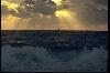 Picture for song 'B-I-B-L-E' by artist 'Waveform'