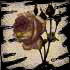 Picture for song 'A Rosethorn by That Very Name' by artist 'Web Of Wyrd'