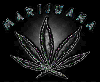 Picture for song 'Get Purple' by artist 'West Side Stunnerz'