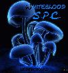 Picture for song 'Eviction Notice' by artist 'Whiteblood'