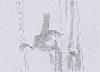Picture for song 'Drunken Sailor' by artist 'White Violin'