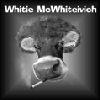 Picture for song 'HOOTS AND BOOBS' by artist 'Whitie McWhiteivich-Funny Songs'