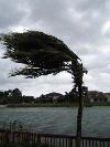 Picture for song 'Hurricane' by artist 'Whose Bright Idea'