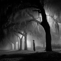 Picture for song 'Midnight in Carolina' by artist 'Wicked Apollo Productions'