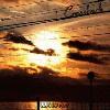 Picture for song 'Wark' by artist 'Wikter'