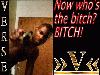 Picture for song 'We Came To Party' by artist 'Windy City Chi Beats'