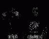 Picture for song 'Unleash The Hate' by artist 'WOLFTHRONE'