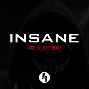 Picture for song 'Insane' by artist 'Wooz Beatz'