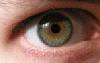 Picture for song 'Can't you see' by artist 'Wormwood Revelation'