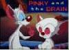 Picture for song 'pinky and the brain' by artist 'WRITE BROTHERS PRODUCTIONS'