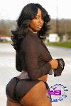 Picture for song 'I KNO U WANNA' by artist 'YOUNGDUTCH'