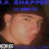 Picture for song 'Throw Yo Handz Up' by artist 'Young Snapz'