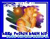 Picture for song 'Young AD - Serious Business' by artist 'Youngz AD'