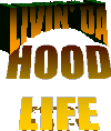 Picture for song 'Livin' Da Hood Life (Instrumental)' by artist 'Yung Dub MuZiK'