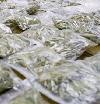 Picture for song 'Drug Addiction' by artist 'Yung Scoot aka Gambino'