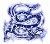 Picture for song ''Haween /dhibka uma samraan' 05/01/2006' by artist 'Zakiclub'