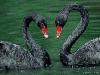 Picture for song 'WHEN I SEE U' by artist 'Zanna Daone'