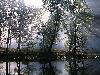 Picture for song 'Rush to the Bush' by artist 'Zombie20'