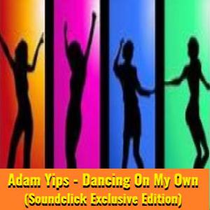 Picture for song 'Take A Flight (Rap Vocal Mix)' by artist 'Adam Yips'