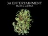 Picture for song '4 da people' by artist '3A Allstarz'