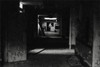 Picture for song 'Apparitions Gathering...' by artist 'Abortion Void'