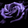Picture for song 'Pasado Oscuro (sin acabar)' by artist 'Alberto'
