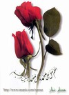 Picture for song 'I have 5 ( Li 5 ton)' by artist 'Althaqlain Islamic Band'