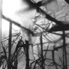 Picture for song 'AMS BEAT 8 (used)' by artist 'AMS PRODUCTIONS'