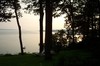 Picture for song 'Lakes of Pontchartrain' by artist 'Amy Dixon-Kolar'