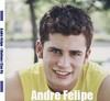 Picture for song 'I Believe I Can Fly' by artist 'Andre Felipe'
