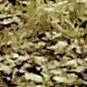 Picture for song 'Undulating Landscapes' by artist 'Andrew Lahiff'