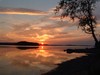 Picture for song 'Midnight Sun' by artist 'Andy Smooth'