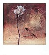 Picture for song 'Opus 15 - My Friend' by artist 'Anessence'
