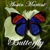 Picture for song 'Butterfly' by artist 'Austin Martini'