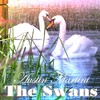 Picture for song 'The Swans' by artist 'Austin Martini'